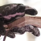 カラー